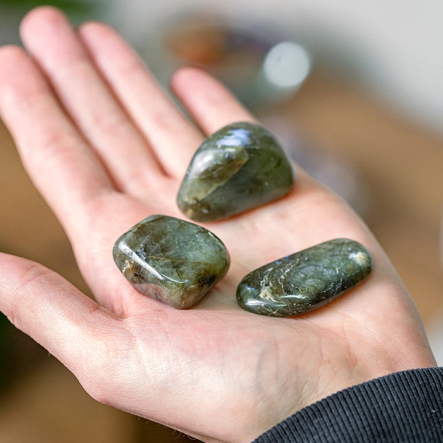 Pierre roulée Labradorite 2/5 cm - la pièce